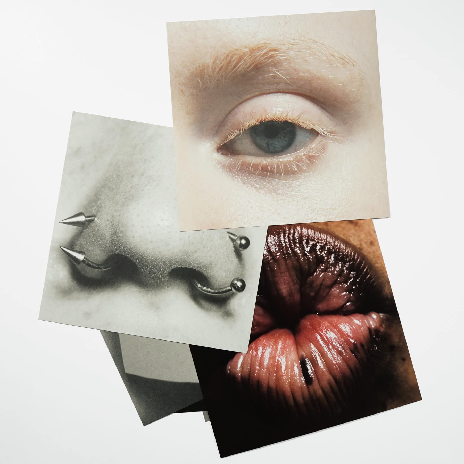 Max Papendieck Body of Work Book Content